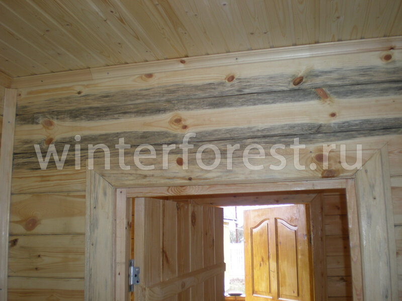 Грибок на брусе