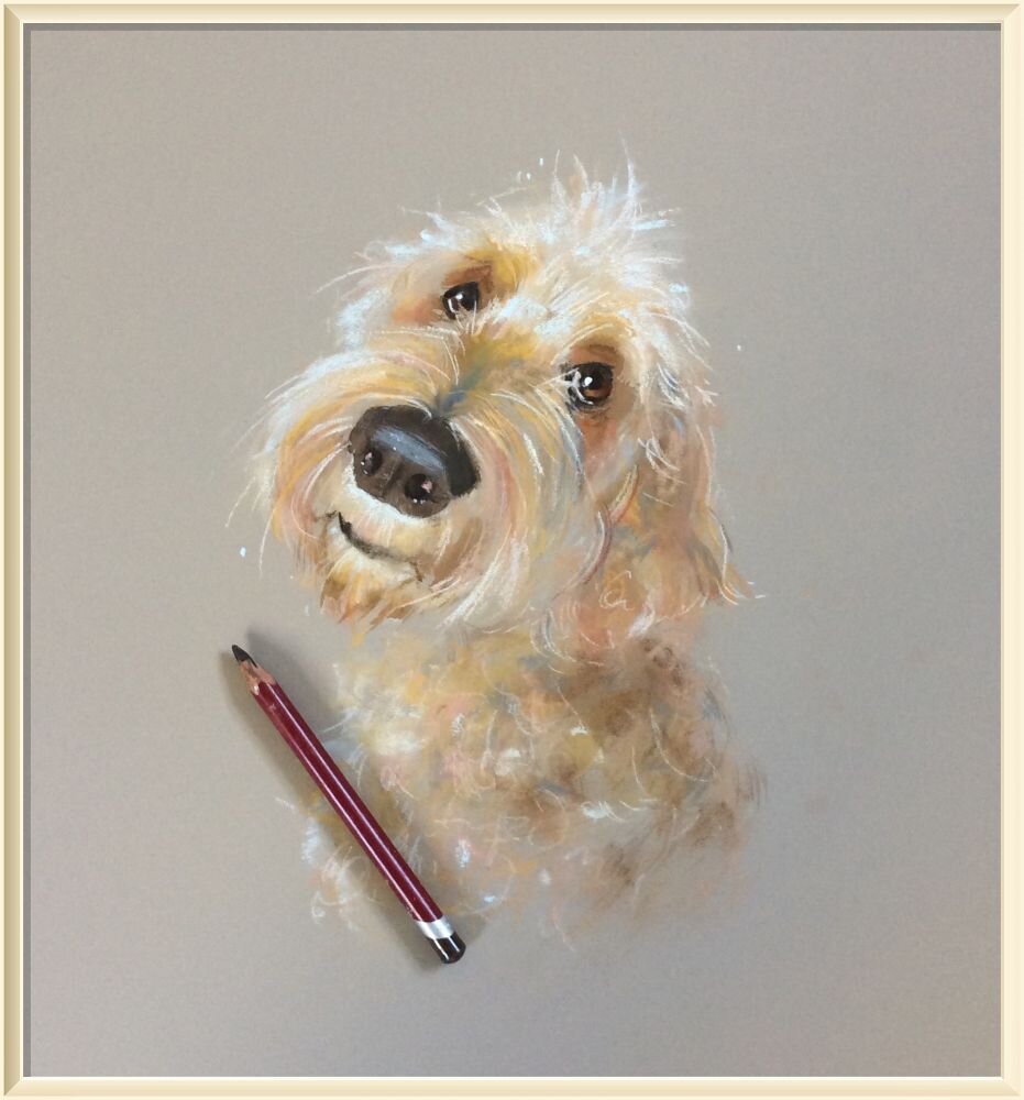 � ���� �������� / Nicky Litchfield �� �����" ��� ����� �������� "