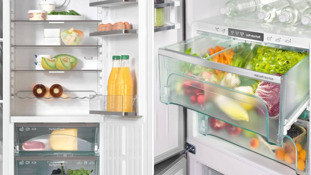 Холодильная и морозильные камеры.