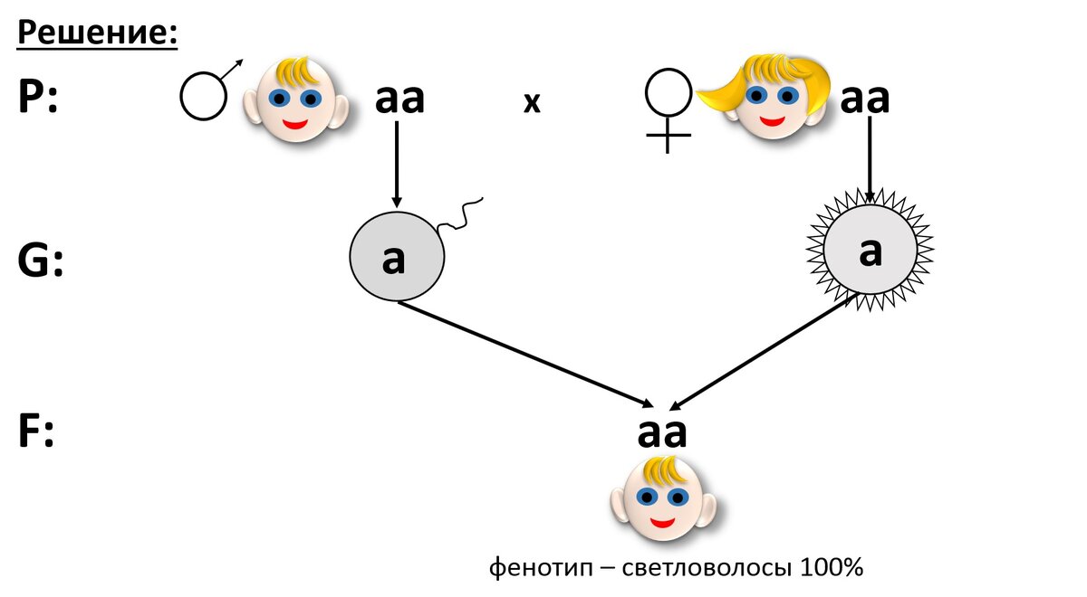 Могут ли у кареглазых родителей родиться голубоглазый ребенок. Генотип кареглазого светловолосого отца. Дети родителей с темными волосами. Рождается ли ребенок светловолосый от темноволосых родителей. Может ли родиться светловолосый и голубоглазый ребенок