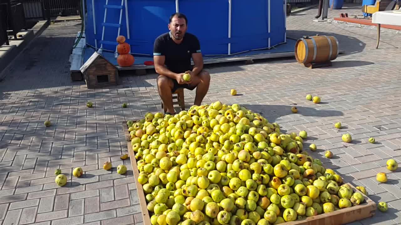 САМОГОН из ЯБЛОКО. Яблочная БРАГА. Часть 1 | ГЕОРГИЙ КАВКАЗ | Дзен