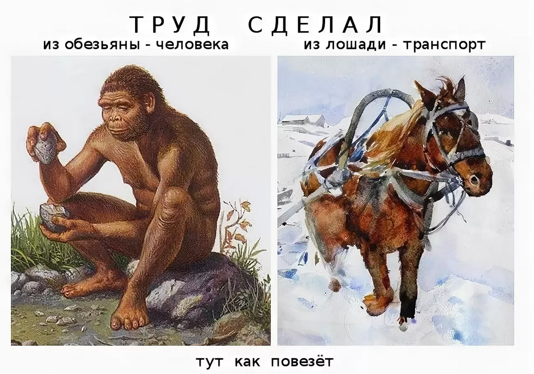 Поставь monkey. Труд превратил обезьяну в человека. Труд сделал из обезьяны человека. Превратить человека в обезьяну. Превращение обезьяны в человека.