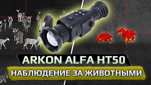 Наблюдение за животными через тепловизионный прицел Arkon Alfa HT50