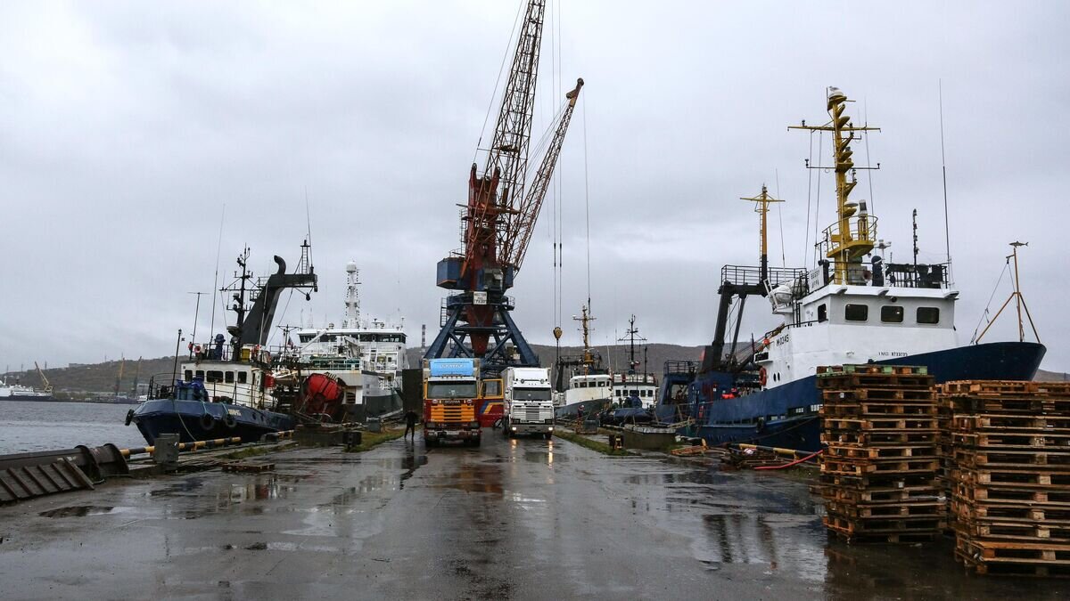 Информация о приходе судов в порт. Порт. Мурманск порт. Мурманский причал. Новый порт.