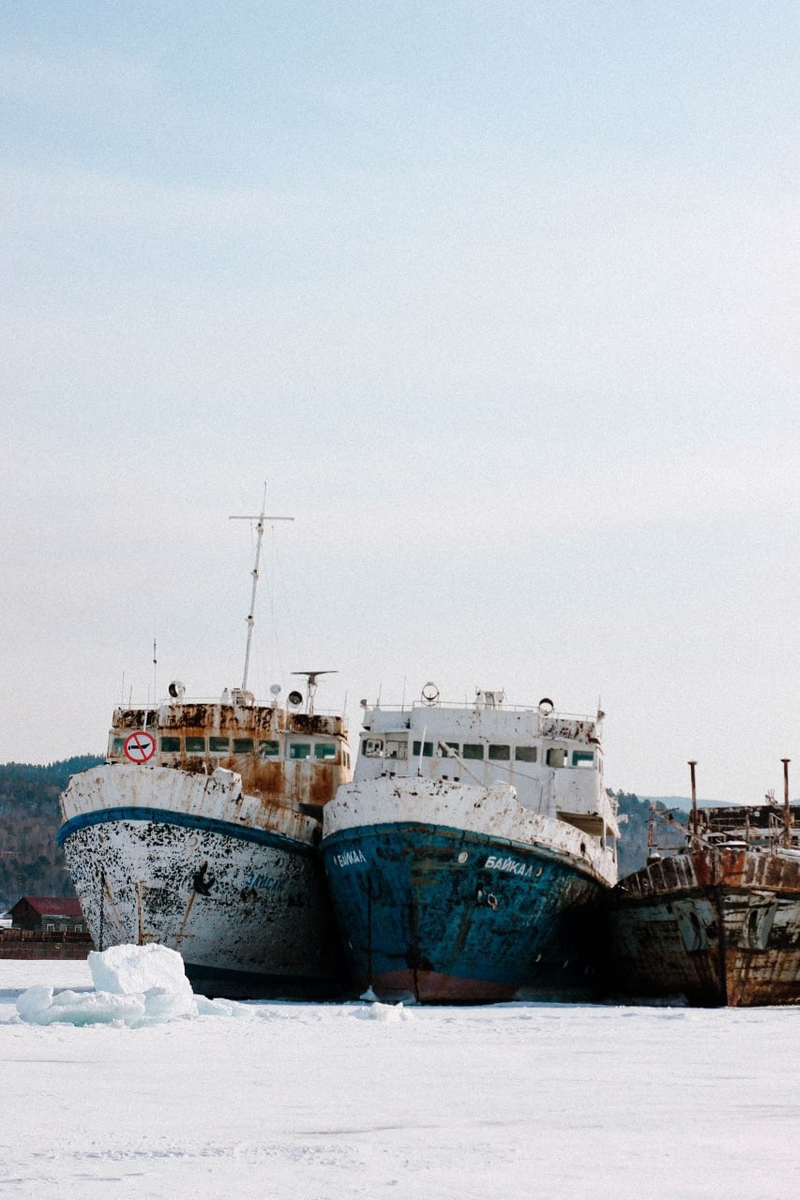 фото Алёны Станицкой
