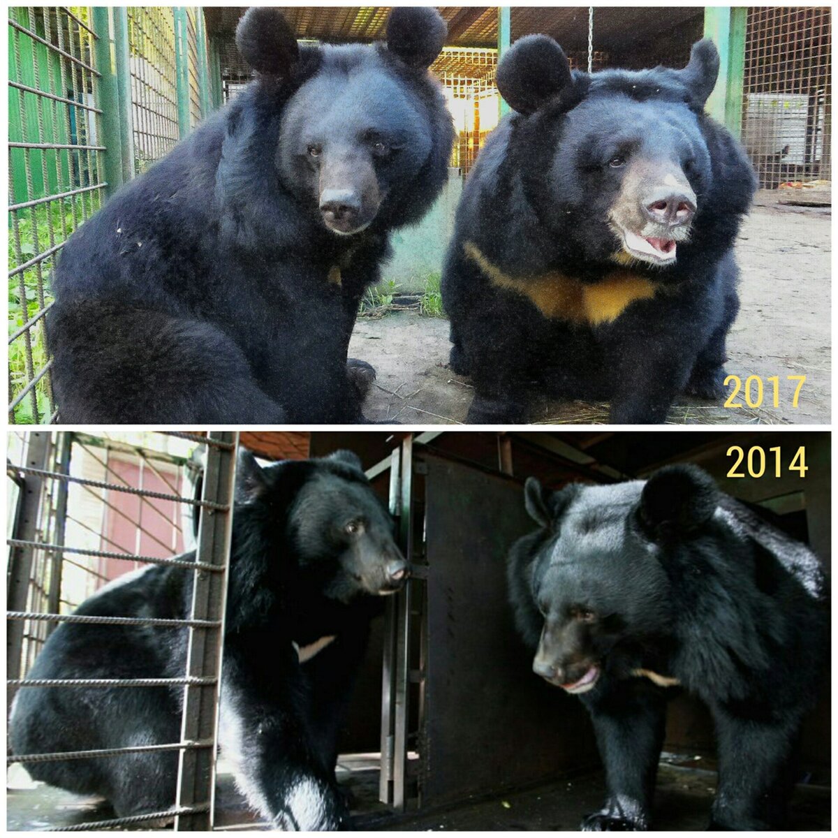 Еще молодые и худенькие