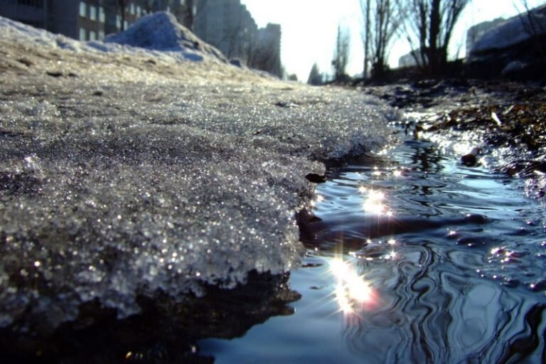    Исследование показало, что «весеннее обострение» приводит к росту правонарушений в 2-3 раза Андрей Севостьянов