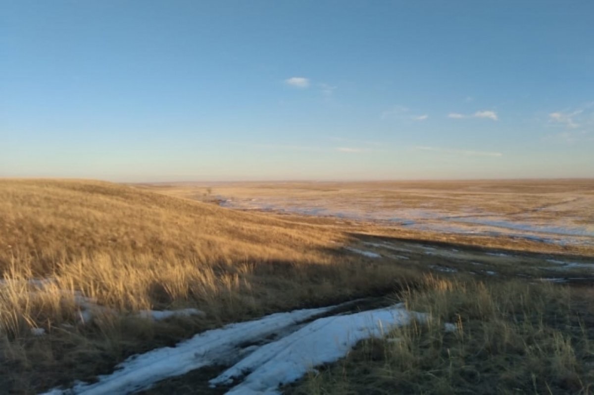    В Оренбуржье замечены первые скворцы