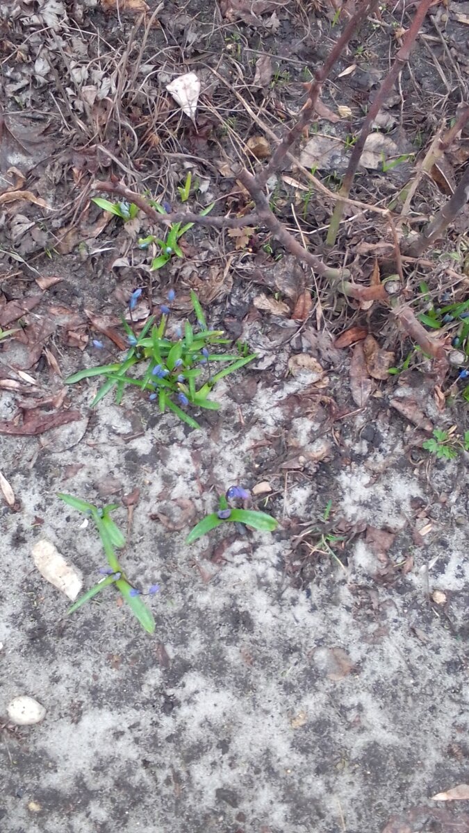 Фото сила - в знаниях