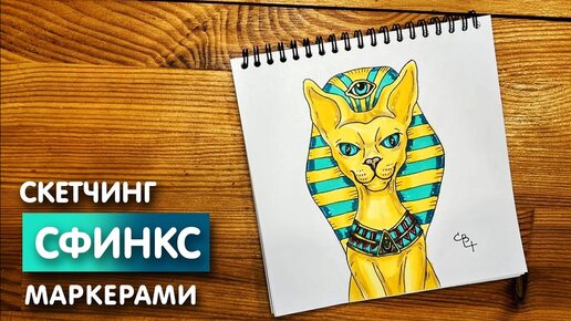 Как нарисовать кошку сфинкса карандашом поэтапно | Cat painting, Animal drawings, Sketches