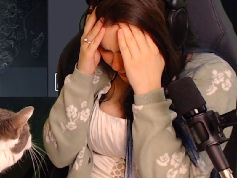    Кот девушки-стримера «убил» её прохождение Hitman 3 в режиме без сохранений