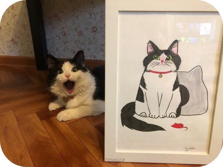 Источник: pinterest.com