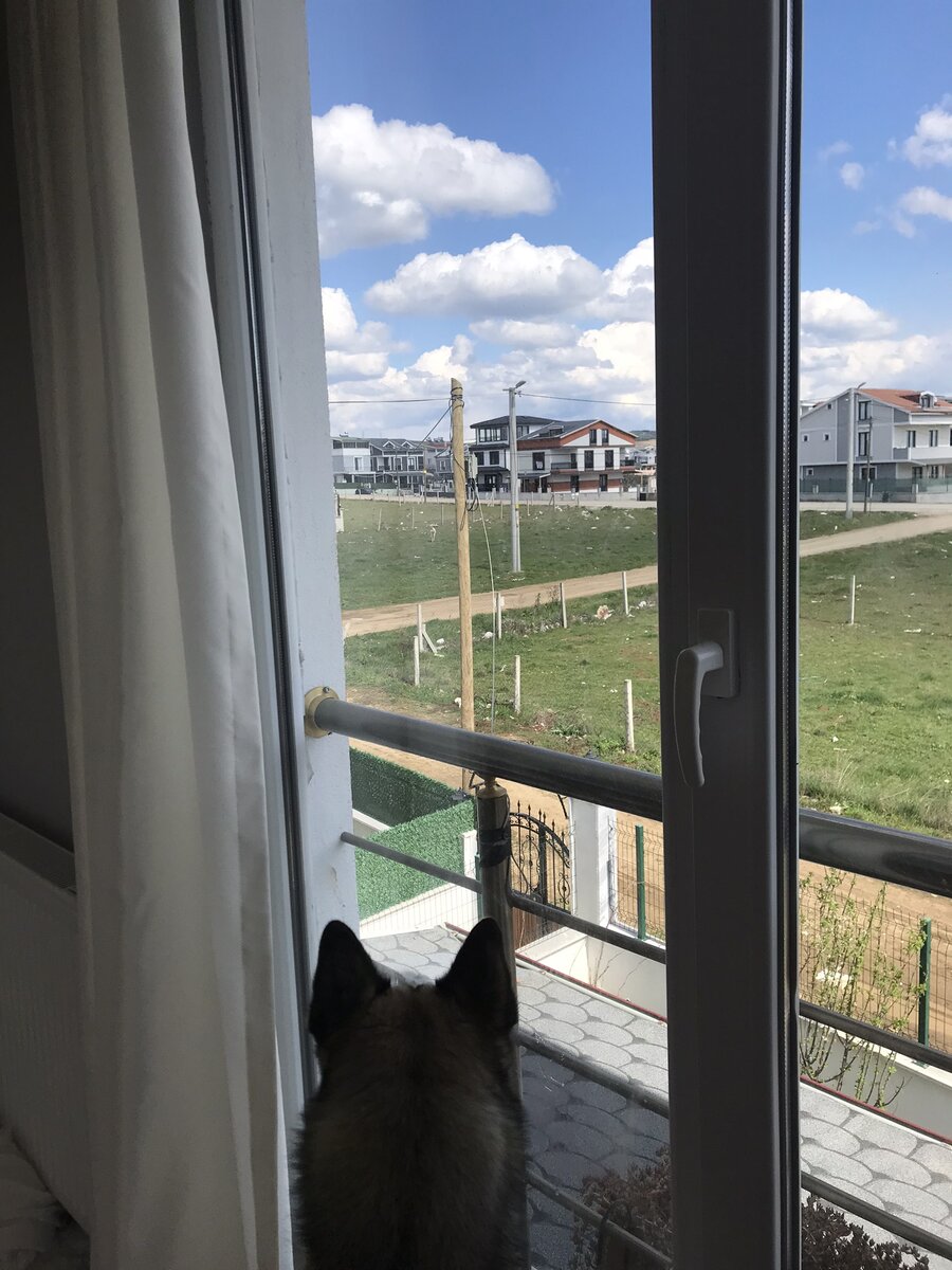 Облака-каравеллы неспешным караваном плывут со своим волшебным грузом.