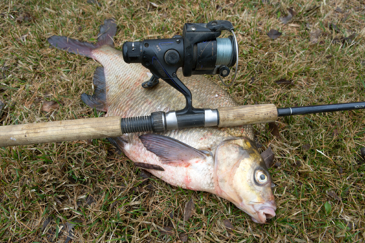 Nikolay Gyngazov/Global Look Press