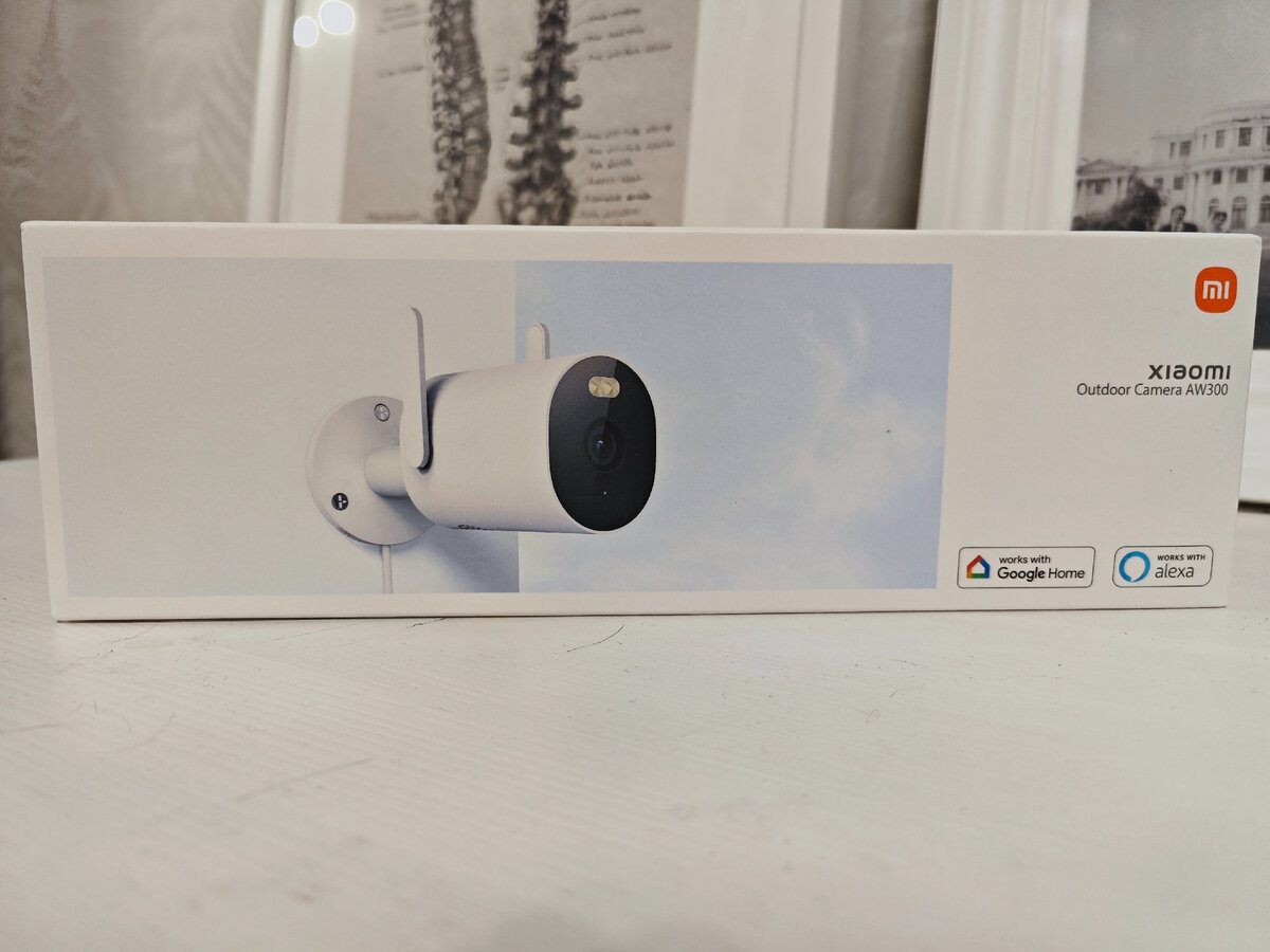 Xiaomi outdoor camera aw300