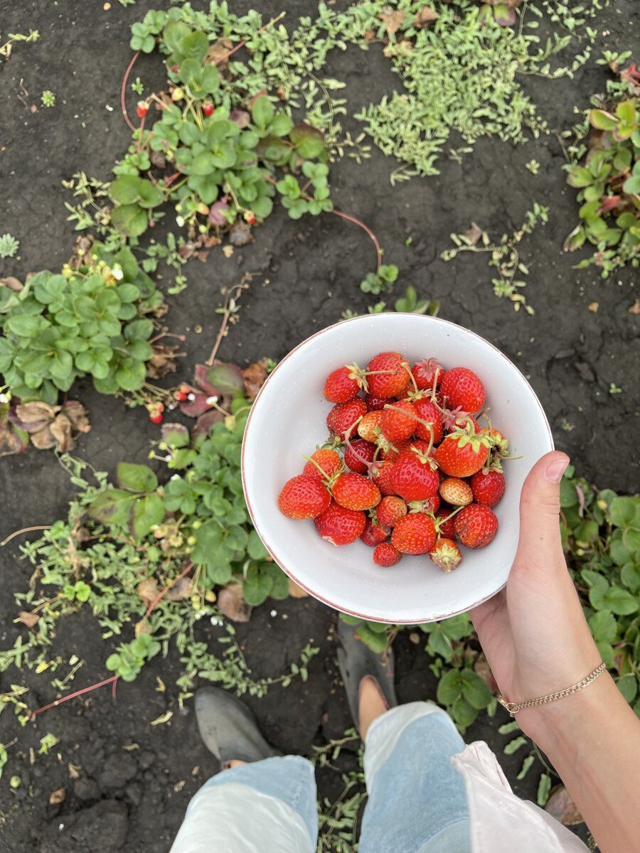 Ягоды со своего огорода самые вкусные