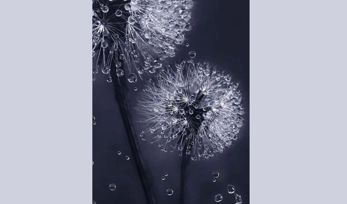 Фото pinterest com