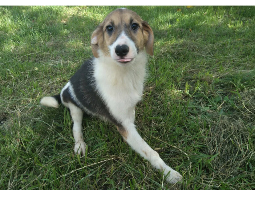 Майя маленькая 