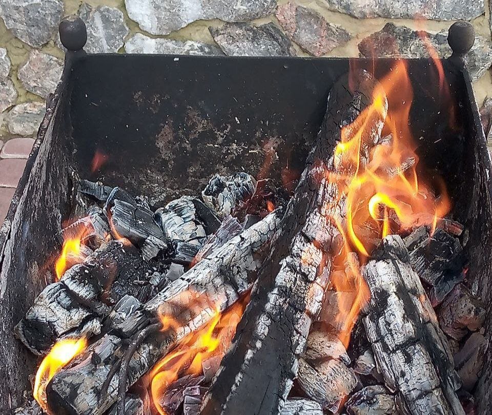 Этот продукт сжигания древесины богат многими питательными веществами, необходимыми огородным и садовым культурам