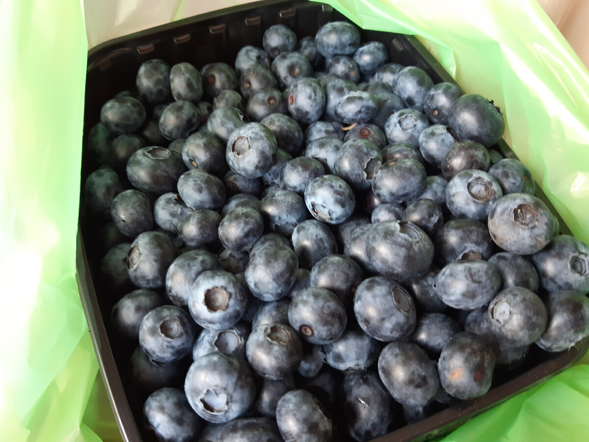 Способы заморозки голубики на зиму