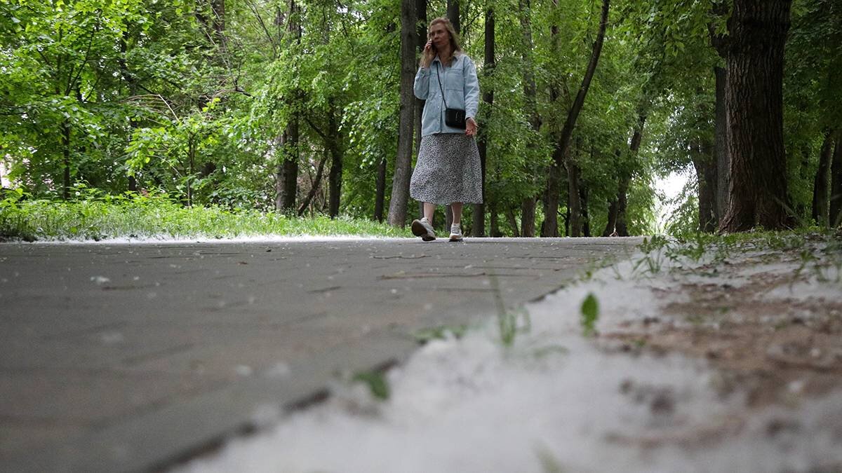    Фото: Артур Новосильцев / АГН Москва