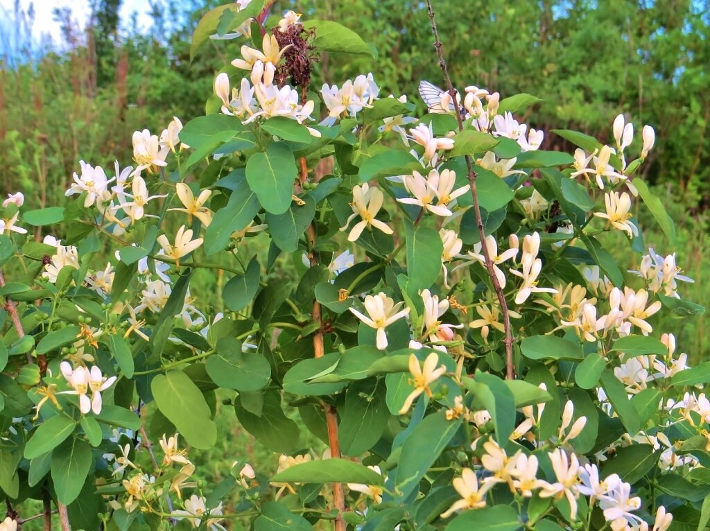 Источник:  novyefoto.ru