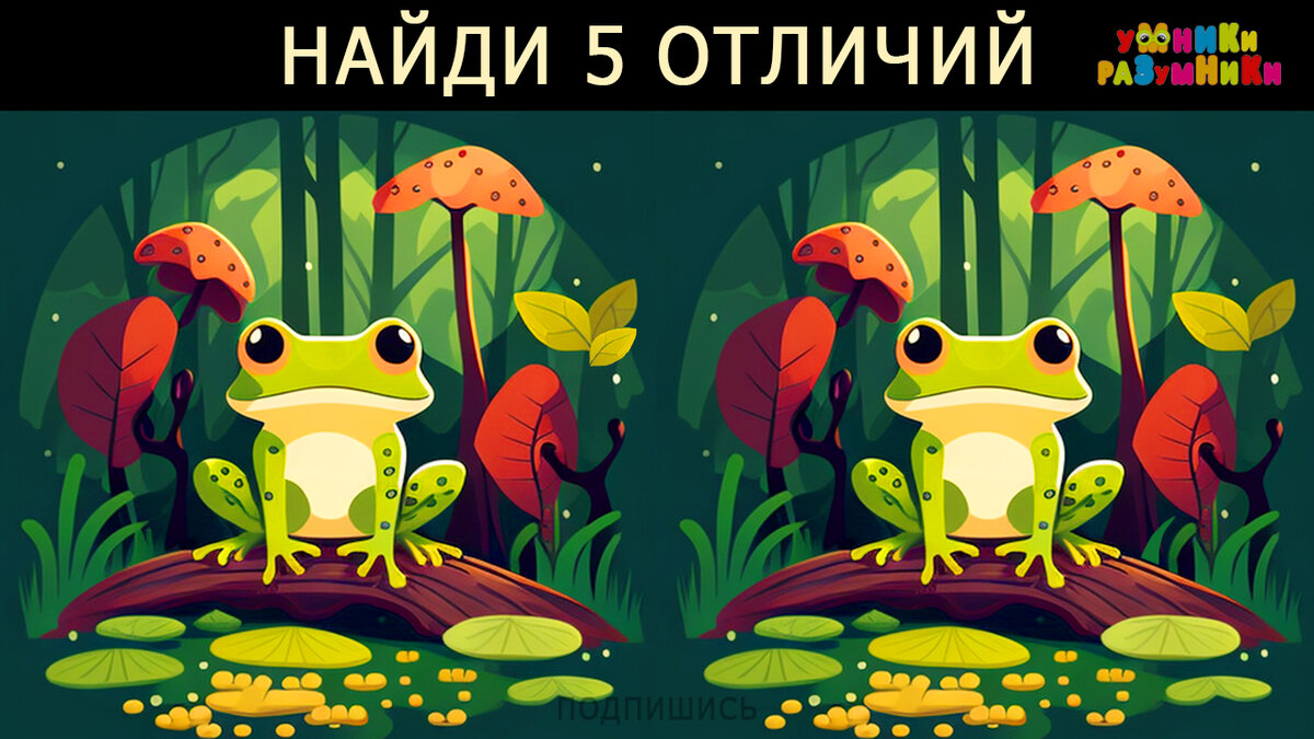 найди 5 отличий