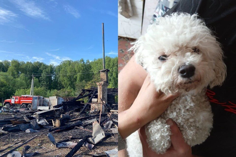    Пожар полностью уничтожил дом. Фото: ГУ МЧС по НСО / Предоставлено очевидцем.
