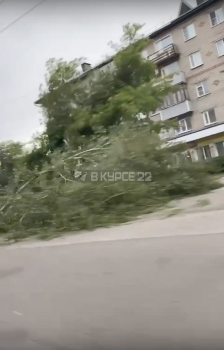 Ураган в яровом. Мощный ураган. Яровое шторм. Ураган в яровом. Смерч в алтайском крае.