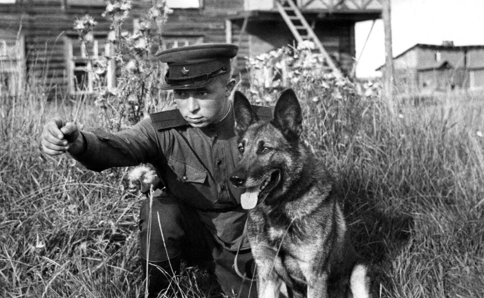 Советский пограничник с собакой