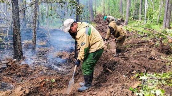    В Якутии пожары охватили более 633 тысяч гектаров леса Алина Городниченко