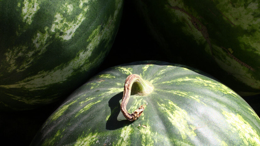   Gettyimages.ru aykut karahan