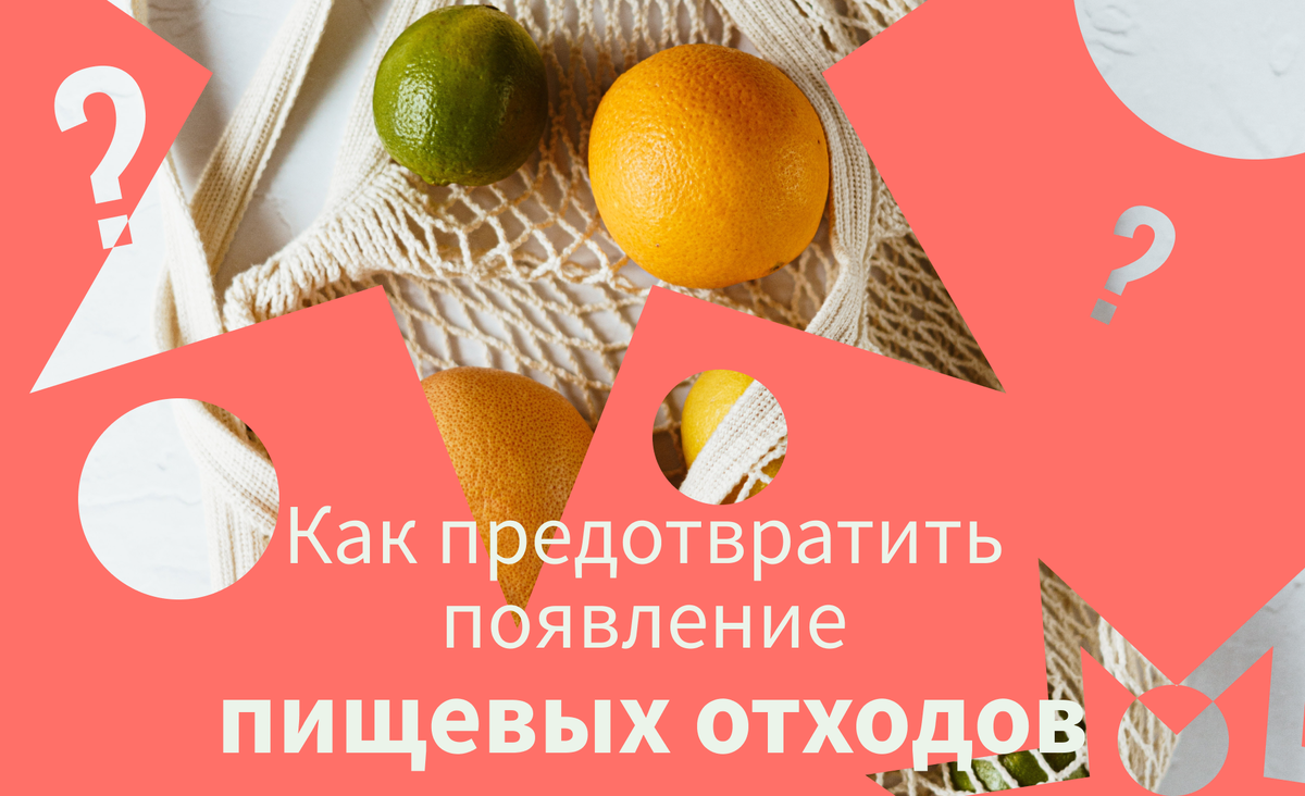 Проблема пищевых отходов