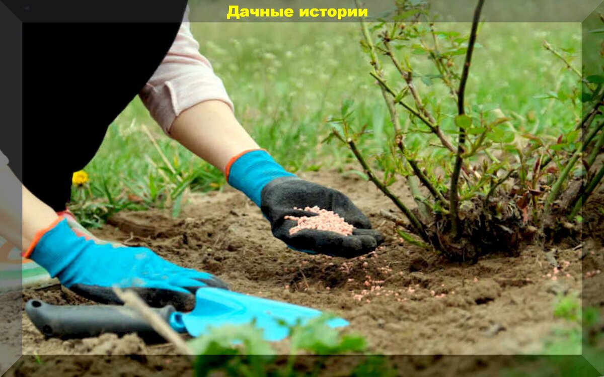 https://vk.com/photo-159774511_457246601