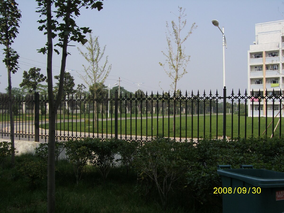 Вид на территорию университетского кампуса от нашего дома