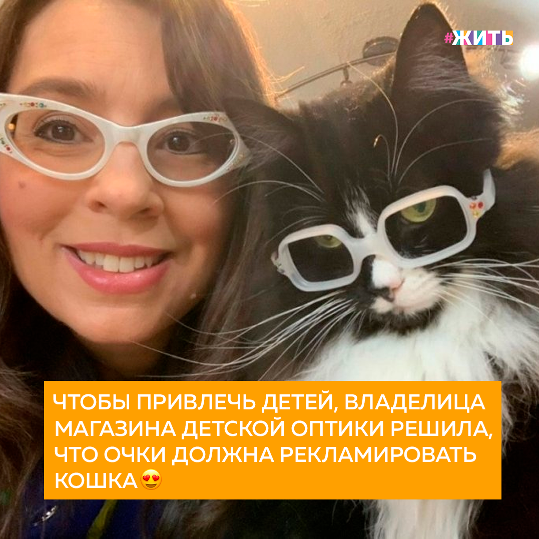 Известно, что дети не слишком любят очки, поэтому визит с малышом в оптику для многих равносилен походу к дантисту. Но одна владелица детской оптики решила эту проблему просто и даже изящно. Она поручила «продвигать» свой сложный товар детишкам обычной кошке, которая справляется с работой на все сто💯 
Если вы никогда не видели кошку в очках, то поверьте, малыши в этом деле еще менее опытны. Поэтому, когда они видят животное, глядящее на них через оправу, очень удивляются и перестают бояться👍

На самом деле, что может произойти более странное, чем встреча у входа в магазин с кошкой, строго глядящей на вас поверх очков?

А какая интересная реклама запомнилась Вам?

#жить #проектжить