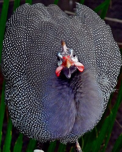 Фото из интернета