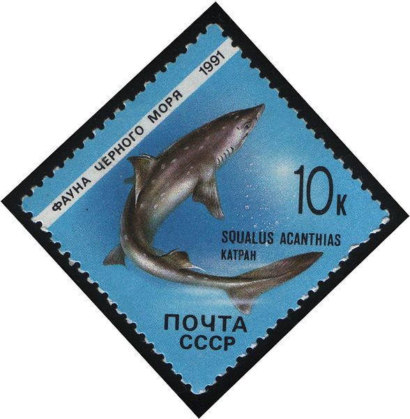 Источник: https://ru.m.wikipedia.org/