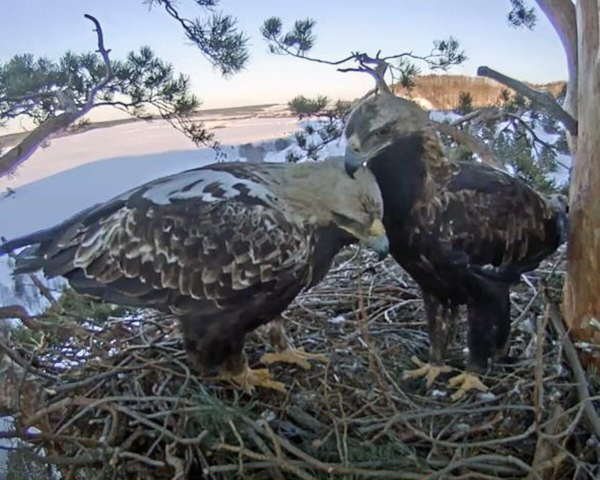 Фото со страницы ВК Национальный парк "Нижняя Кама"