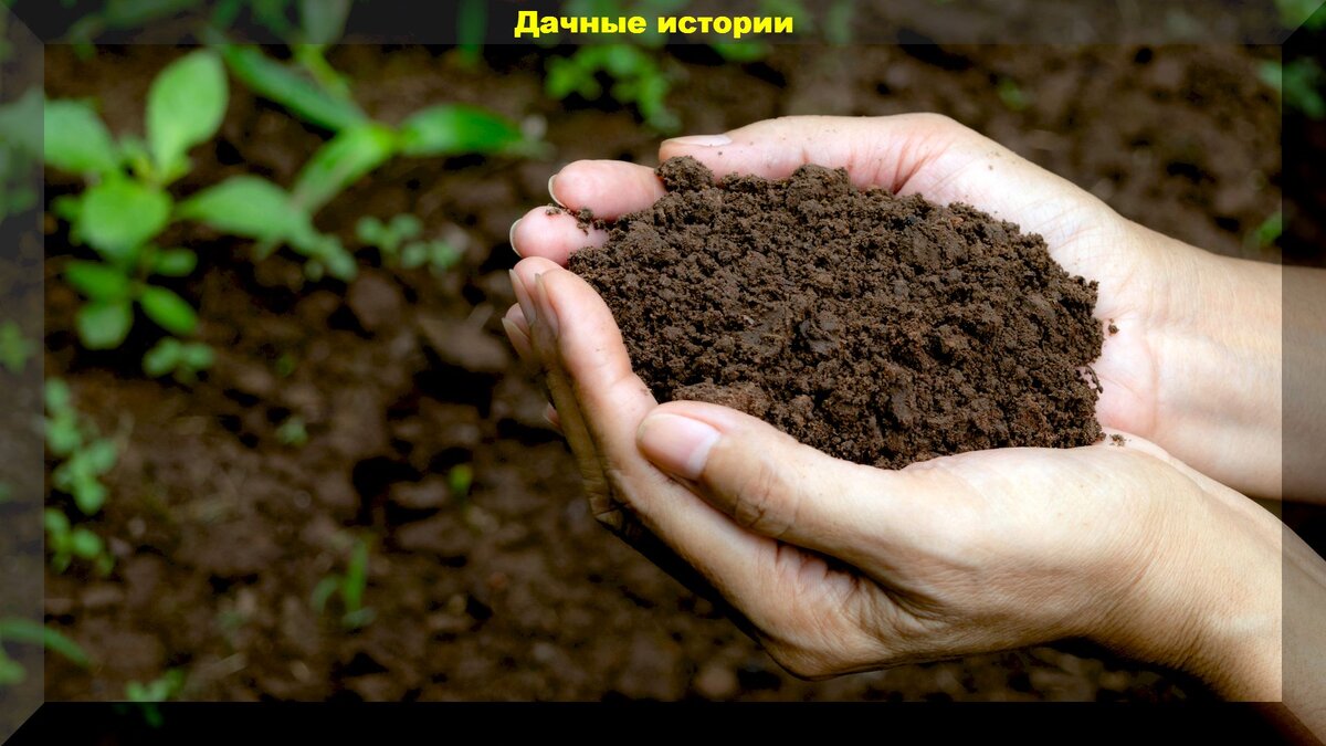 https://vk.com/photo-159774511_457246623