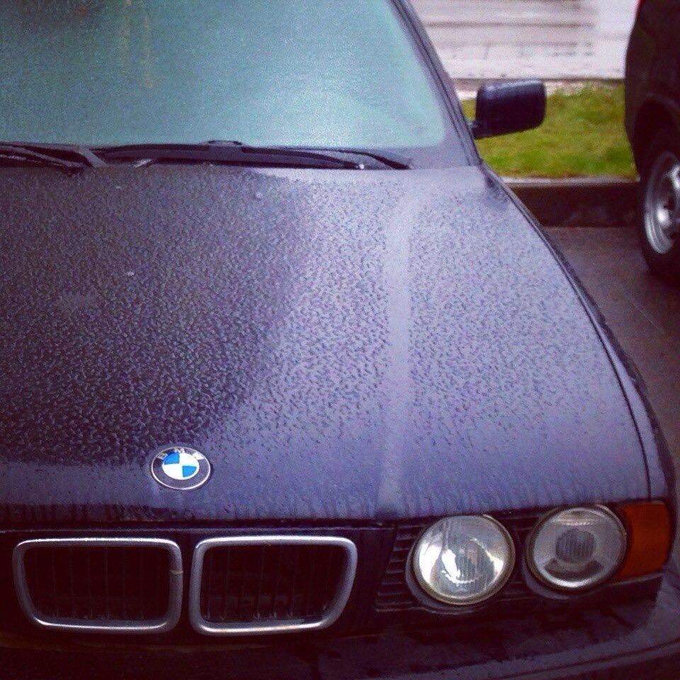 Фото в день покупки. Эта фотография надолго стала моим аватаром в соцсетях