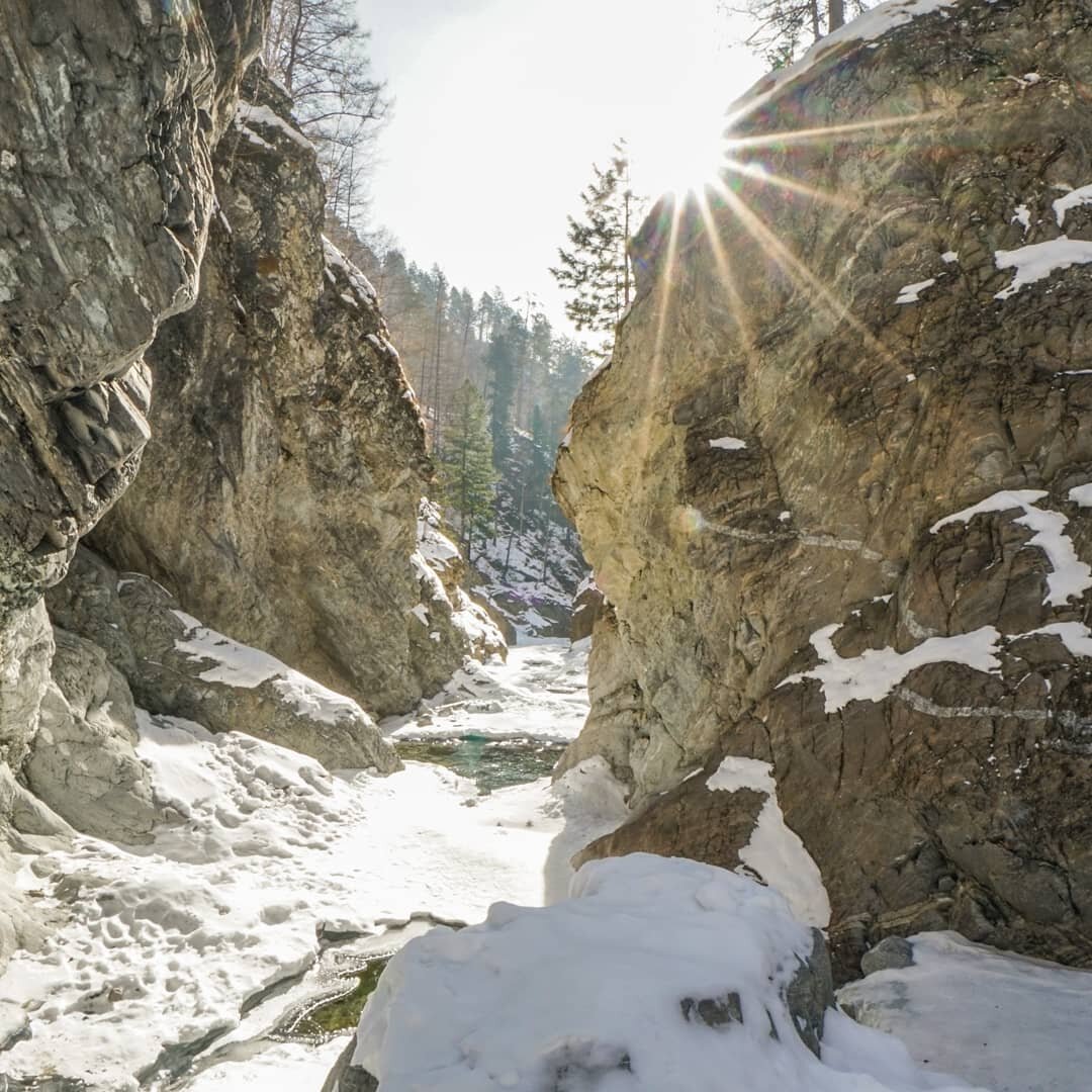 Нац парк Тункинский. Идем по экотропе  ©Арамилев Л.С