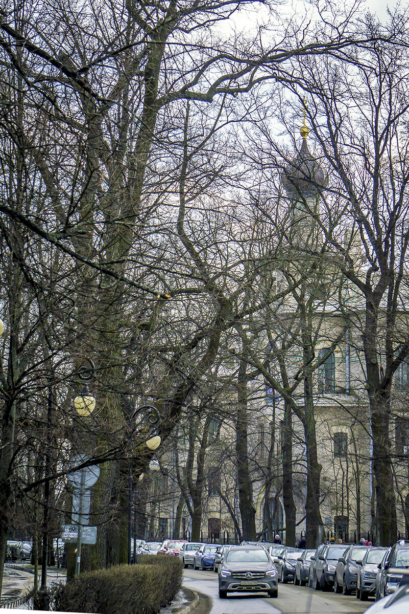 В Александровском парке. Фото: В.Кононов