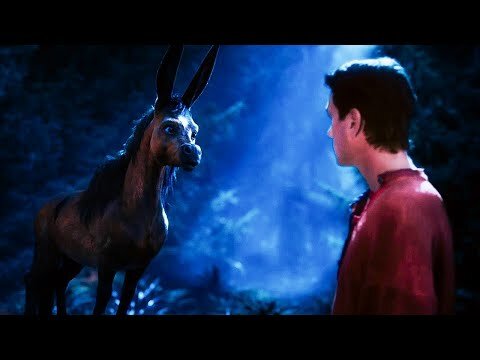 Фото с интернета.