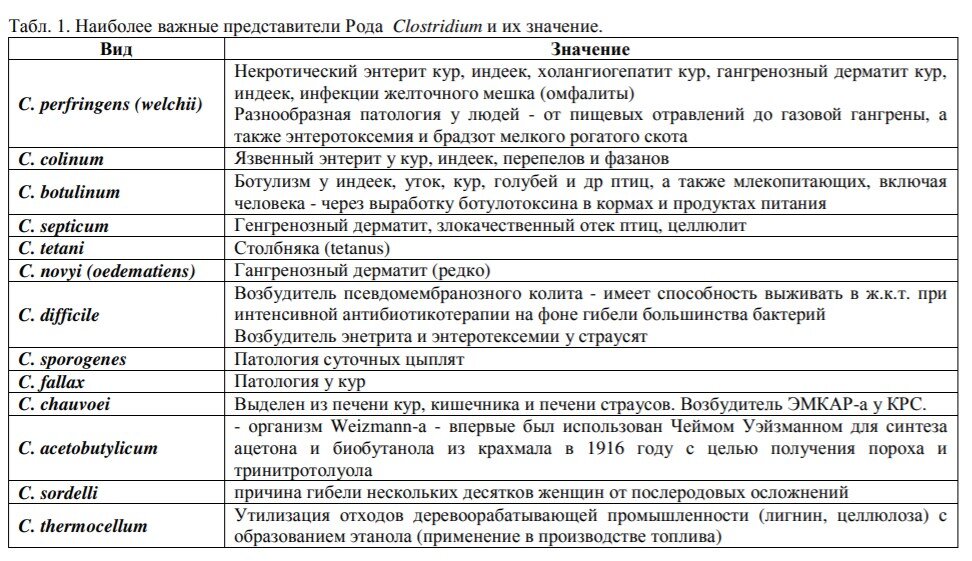 Список представителей рода Clostridium
