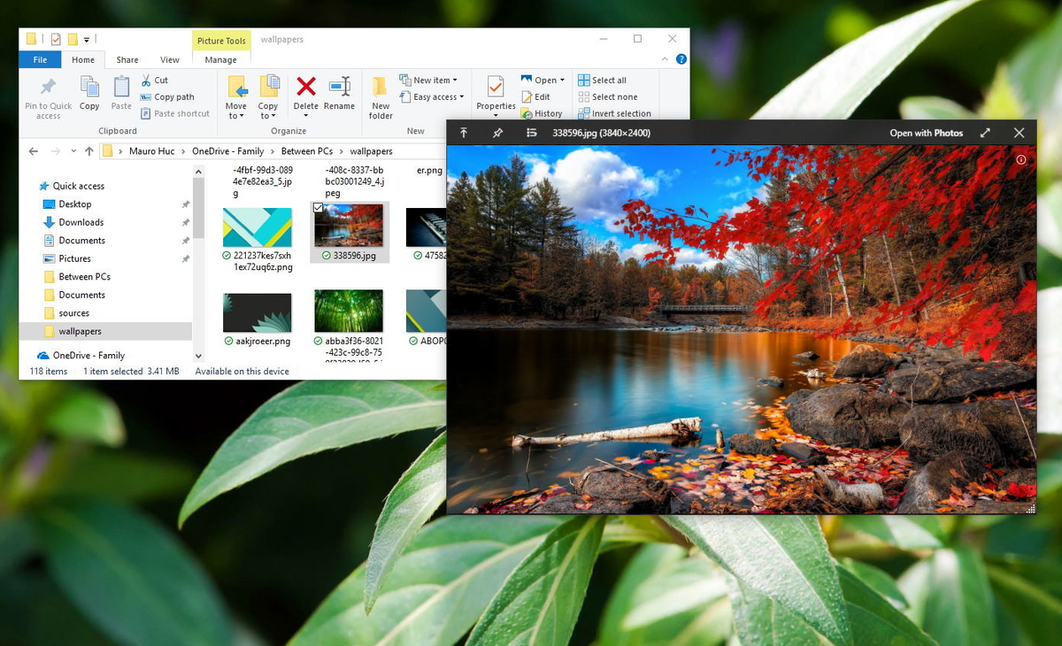 Бесплатные программы для windows 10. Quicklook. Quicklook Windows. Quick look для Windows. Фотопрограмма для компьютера.