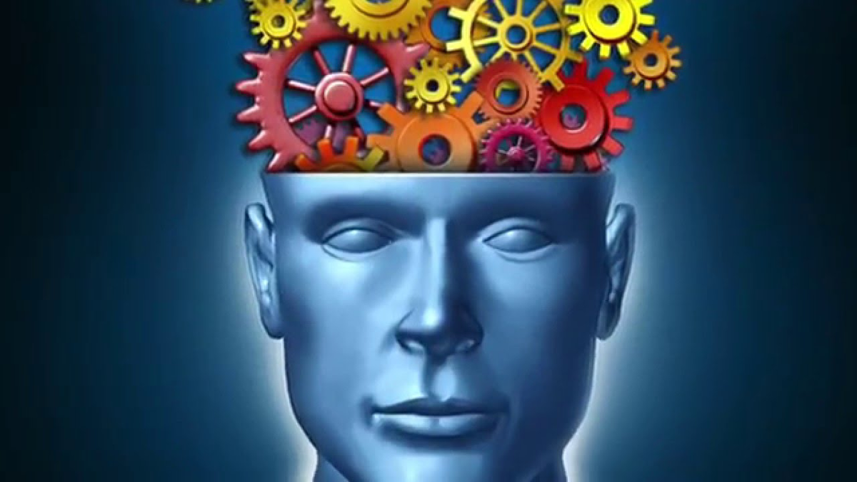 Источник фото: Яндекс Картинки