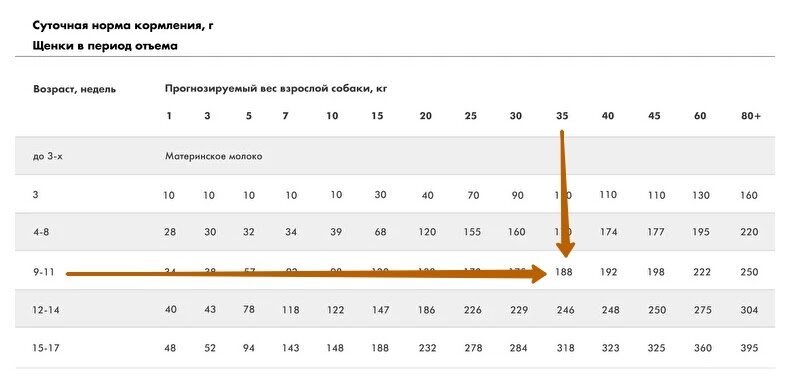  Суточная норма кормления, г, Karmy Starter
 