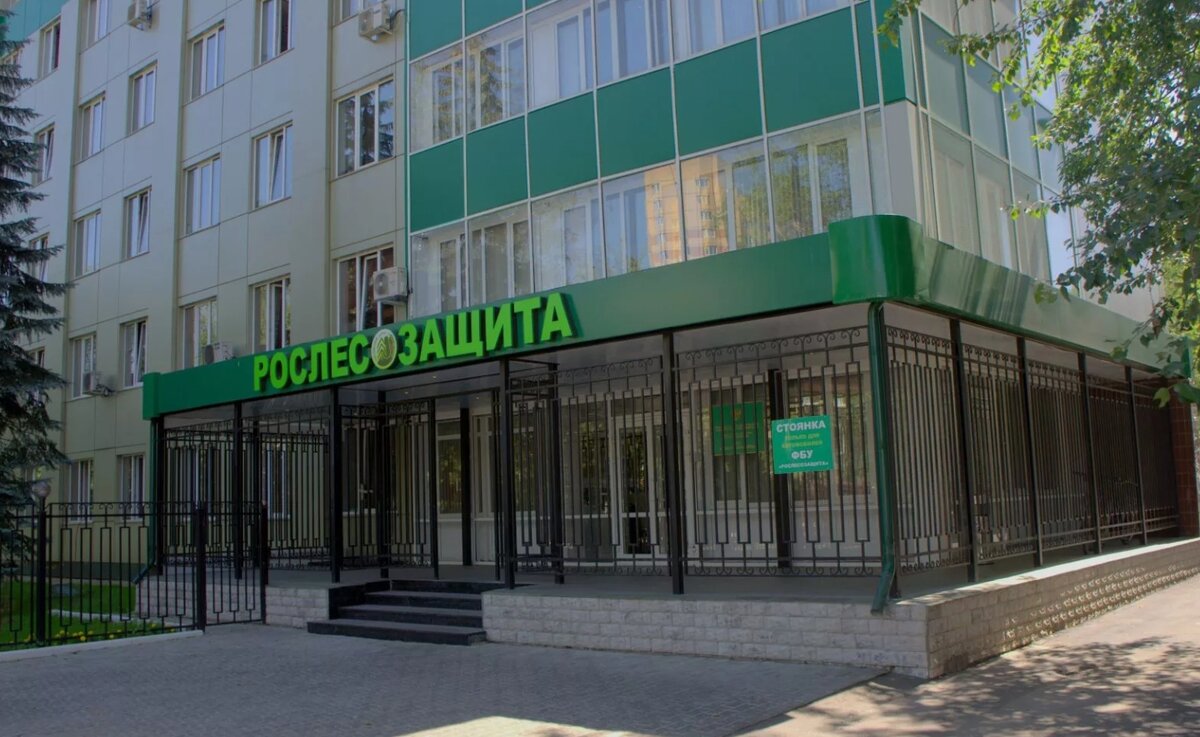 Центр защиты леса. Пушкино. 