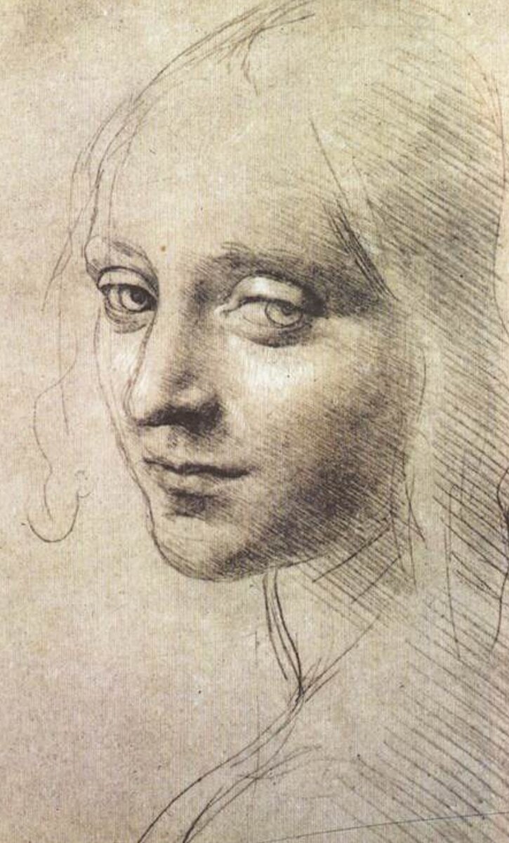 Рисунок да Винчи. Источник: The gallery of art